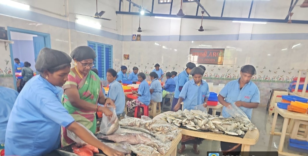 Packaging Team