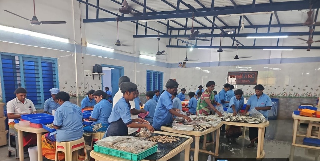 Seafood Sorting